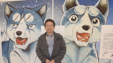 漫画家高桥义广对虎纹秋田犬的记忆：勇敢、是猎熊时的好帮手