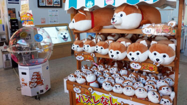 “秋田犬之乡”的抽奖销售深受好评，参加者都能获得一只毛茸茸的秋田犬玩偶