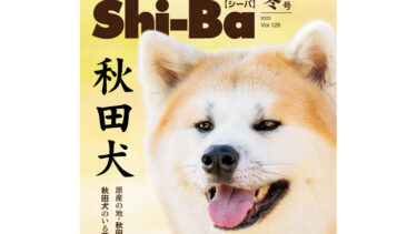 柴犬的主题杂志刊登了34页的大特集，秋田犬首次登上了封面
