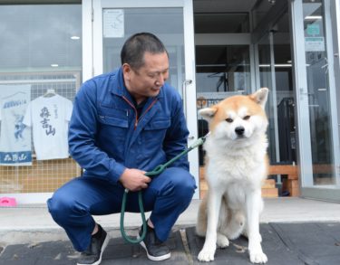 “Hokuto shows affection only to me” – Yoshida Shigehiko and his Akita Dog “Hokuto”