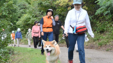 A Refreshing Walk with an Akita Dog Awaits You in Mitane Town, Akita Prefecture