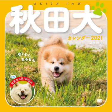 2021 Calendar Featuring Akita Dog Puppies in France