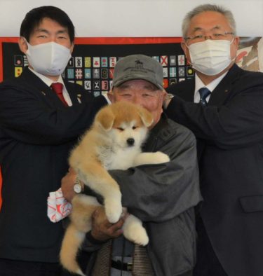 Keep Wild Boars at Bay with an Akita Dog!  Odate City Sent an Akita Puppy to Help Minamisoma City