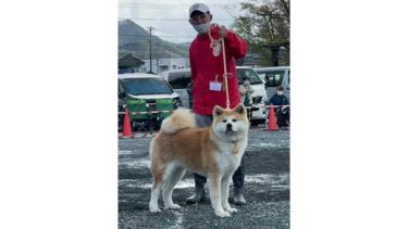 Interview: Skilled Owners of Akita Dogs, With Their Own Raising Style (2)Mr. Nohara Hidetaka from Ibaraki Prefecture, “Let’s raise them with the rest of their lives in mind”