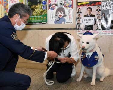 Akita Dog Umeko Promoted to Senior Police Officer at the Kazuno Police Station