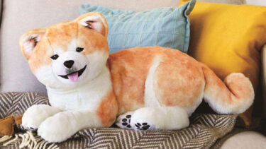 Just Like the Real Thing in Every Detail!  A Soft and Fluffy Stuffed Akita Dog