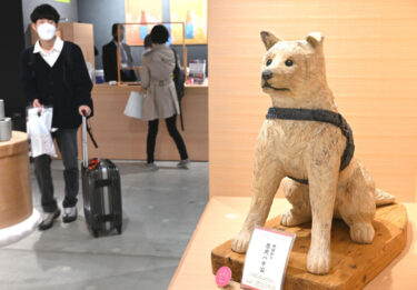Akita Dog-Themed Store Opens in Shibuya, Selling Stuffed Dolls and Sweets
