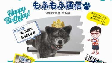 Leaflet Full of “Fluffy” Topics Has Become Popular at <em>Akita Inu no Sato</em>