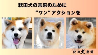 Akita Prefecture and One for Akita: Protecting the Future of Rescued Dogs – Crowdfunding Hometown Tax Campaign, Support Accepted Until October 23