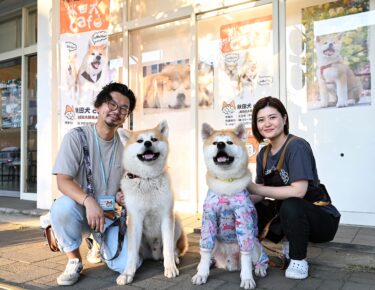 A Café in Odate Where You Can Meet Akita Dogs — Visitors Seek Healing from Across Japan and Beyond