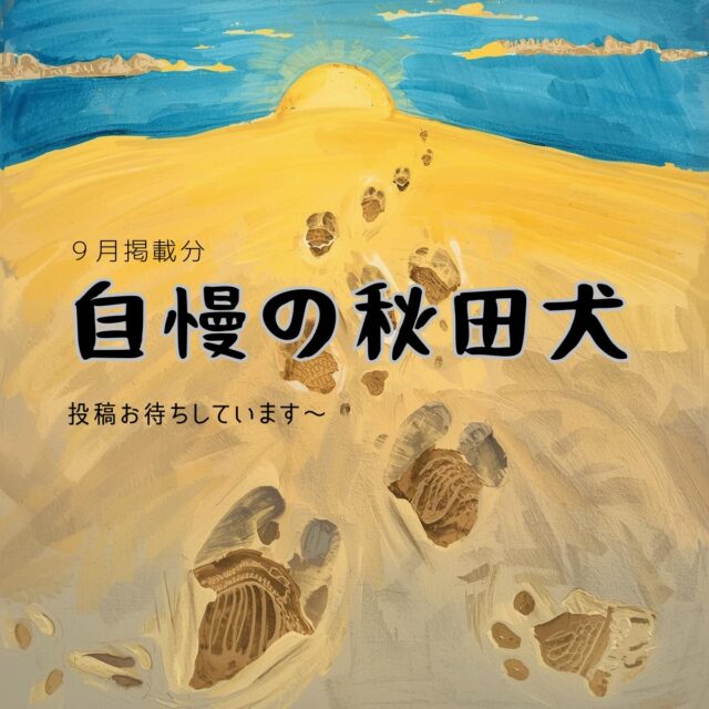 ９月になりました。
今年も猛暑でしたし、まだまだ暑い日が続きそうですが暦の上では秋です。

さて９月の秋田犬新聞は１９日発行予定！
「自慢の秋田犬」を大・大・大募集中です！

暑さにとろけたわんこたちや
ちょっとでも涼しい（かもしれない）朝晩めがけて出掛けた
８月のメモリーをお送りください！

締め切りはいつも前月末日にしているのですが、
このタイミングで募集をかけている…どうぞお察しください！
かわいいところをみなさんで共有しましょう～！

詳しくはｗｅｂ版秋田犬新聞をごらんください！ストーリーズにもリンクを貼りますね～

#秋田魁新報社 #秋田魁新報 #秋田犬新聞 #akitainu #自慢の秋田犬 #お察しください #クマみたいな足跡だけど #絵に意味はありませんのでね