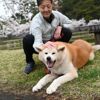 Stay Together with Akita Dog Goods! Here's a Special Plan at Hotel