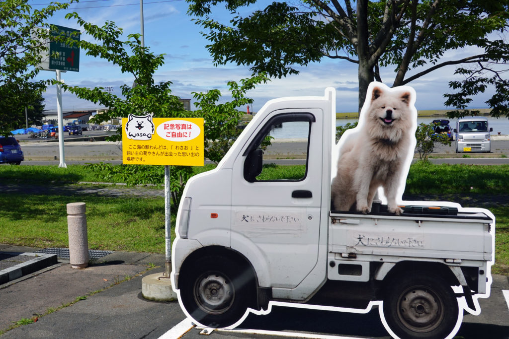 そこに わさおがいた 追悼ムードに包まれる鰺ケ沢町 秋田犬新聞