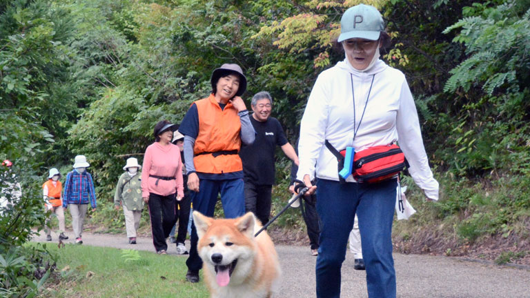 秋田犬新聞 Akitainu News