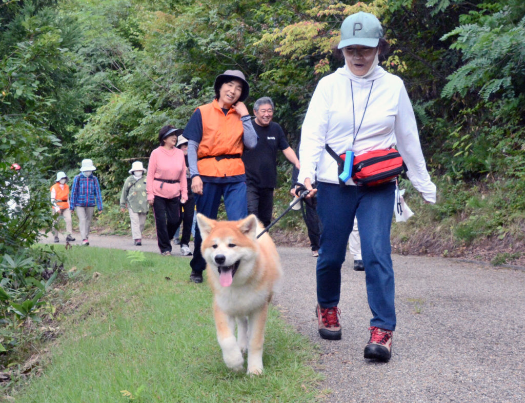 マサ と一緒に散歩しませんか 三種町の法人に子犬 体験プログラム売り込み本格化 秋田犬新聞