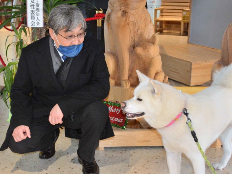 モンゴルの人は秋田犬を好きになると思う バッチジャルガル駐日大使が大館初訪問 秋田犬新聞