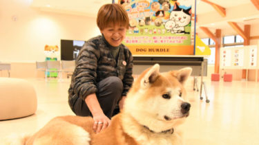 我ら奥羽特急便 トラックに 銀牙伝説 の犬たち描く 秋田犬新聞