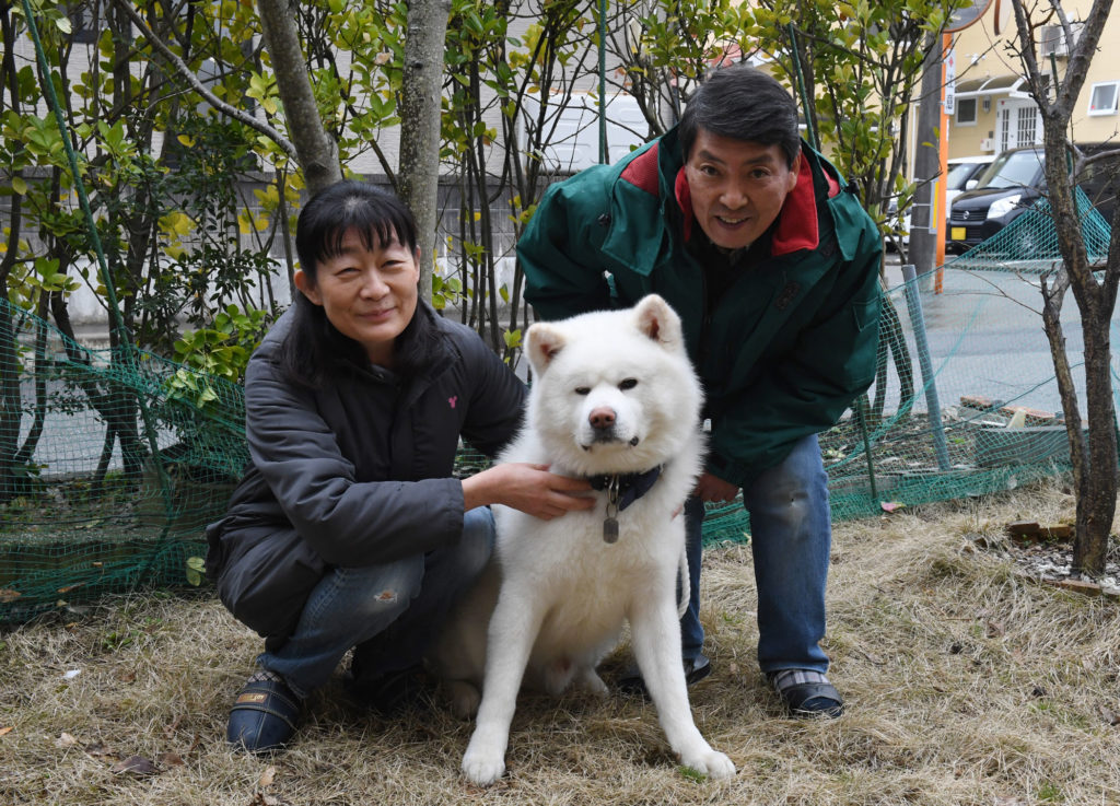 育児放棄から救出 愛に包まれ 福 振りまく 動画 秋田犬新聞