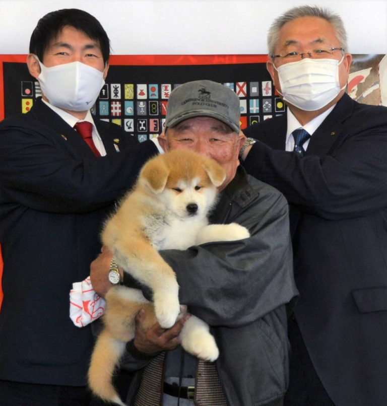 Akitainunews 秋田犬新聞