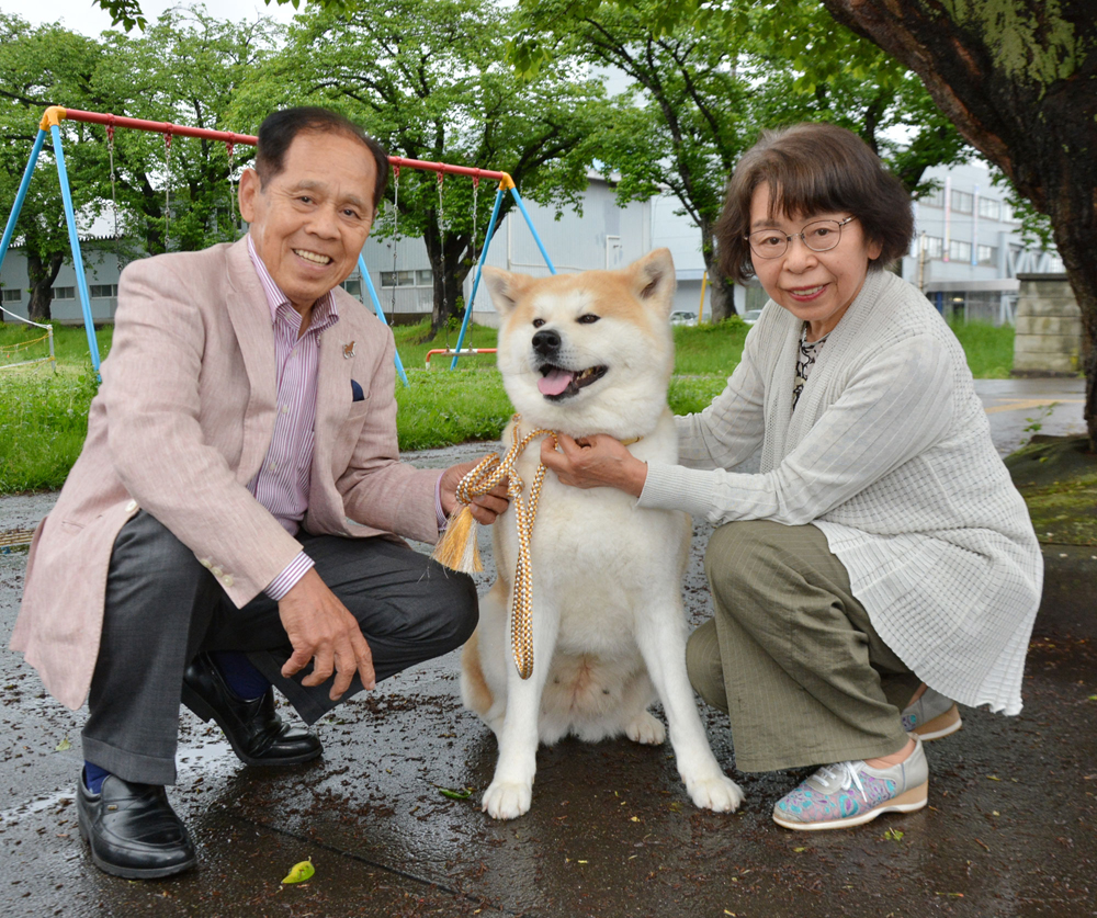 大事にしてくれているのが伝わった 濱田さん夫妻 マサル母と大館入り 秋田犬新聞