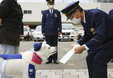 梅子、秋田犬（県）警察官に任命　「酒店のレジ打ち」で人気