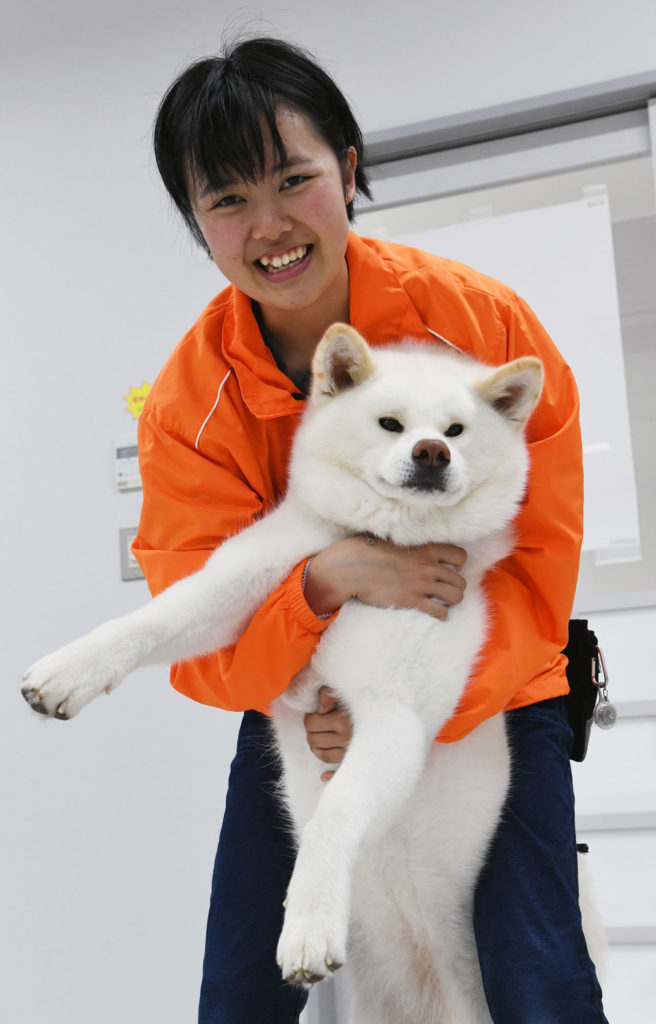 勝大 おもち 癒やしをありがとう 秋田犬新聞