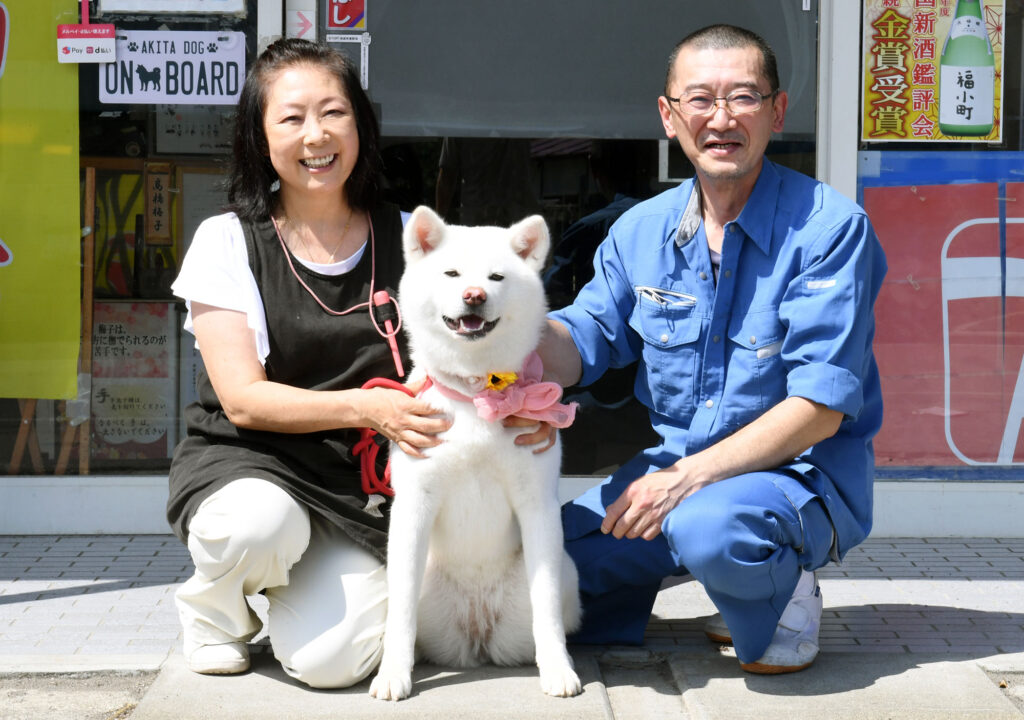 レジ打ち動画 でブレーク 酒店の看板犬 梅子の日常 ３ レジ係就任 秋田犬新聞