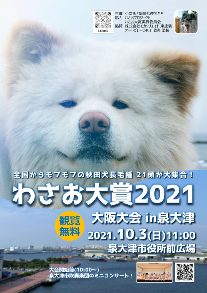 出るか 次世代スター長毛秋田犬 わさお大賞 １０月に初の大阪大会 秋田犬新聞