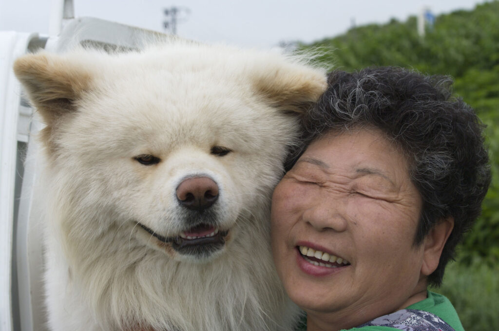 銅像建立でも“持っている”わさお 長毛秋田犬が紡いだ現代の忠犬ハチ公  