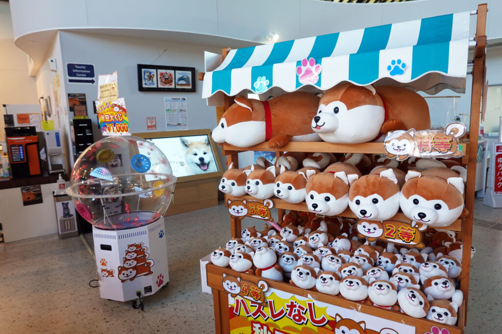 必ず当たるモフモフ 秋田犬の里 の秋田犬くじ人気 秋田犬新聞