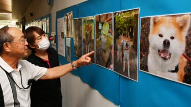 秋田犬の表情にほっこり！　大仙市の農業科学館で写真展、２７日まで