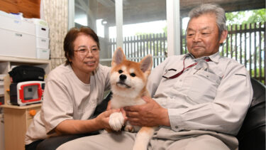 元気いっぱいに成長中　生後2ヶ月の凛と原田さん夫婦