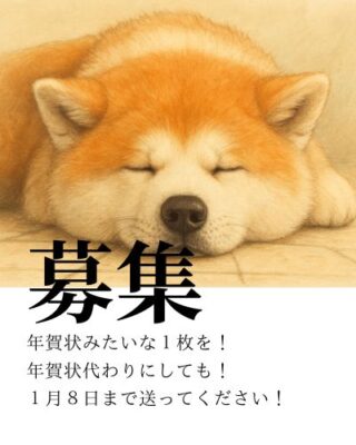 ハチ公の生涯を英語の絵本に 秋田犬と大館を世界に発信│秋田犬新聞